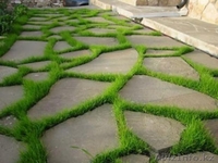 Плитняки разного вида  - Изображение #1, Объявление #1096707