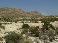  урбанизационный участок в Испании, Alicante, Monforte del Cid, Costa B - Изображение #3, Объявление #1091988