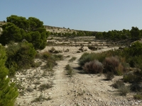  урбанизационный участок в Испании, Alicante, Monforte del Cid, Costa B - Изображение #2, Объявление #1091988