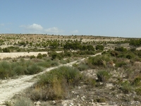  урбанизационный участок в Испании, Alicante, Monforte del Cid, Costa B - Изображение #1, Объявление #1091988