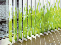 Продажа и установка жалюзи всех видов - Изображение #4, Объявление #1096779