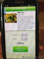Цветочный дворик приложение магазин на Iphone, Android - Изображение #3, Объявление #1089749