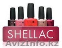 Салон Красоты "Кыз-Жибек" - Изображение #1, Объявление #1124510