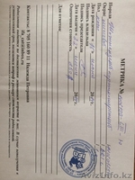 Продам котенка породы ScottishStright (Шотландская прямоухая) - Изображение #9, Объявление #1124985