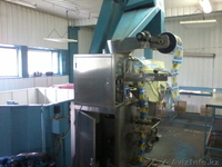 Продам линию по обжарке и фасовке семян подсолнечника. - Изображение #1, Объявление #1115295