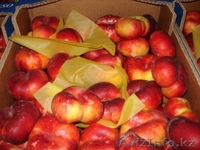 Свежие  фрукты и овощи из Испании  - Изображение #6, Объявление #1026162