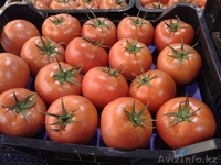 продаю овощи из Испании - Изображение #10, Объявление #1137383