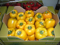 продаю овощи из Испании - Изображение #9, Объявление #1137383