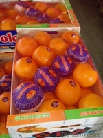 мандарины,апельсины,лимоны из Испании - Изображение #2, Объявление #1129256