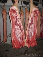 Свинина,говядина в полутушах от 3 тонн - Изображение #2, Объявление #1148848