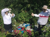 Продам участок 12.75 соток, мкр Каменское плато за 3 100 $ - Изображение #4, Объявление #1153212