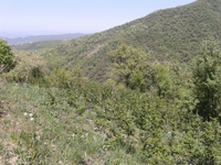 Продам участок 12.75 соток, мкр Каменское плато за 3 100 $ - Изображение #2, Объявление #1153212