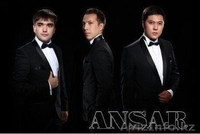 Профессиональный тамада, певцы - Изображение #1, Объявление #1142870