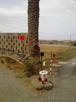 поместье в Испании,Gran Canaria,Telde, Las Palmas - Изображение #2, Объявление #1152602