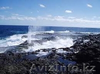 поместье в Испании,Gran Canaria,Telde, Las Palmas - Изображение #4, Объявление #1152602