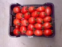 Продаем овощи и фрукты из Испании - Изображение #10, Объявление #1141345