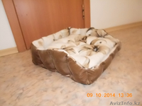 Лежанки для домашних животных новые - Изображение #4, Объявление #1168376