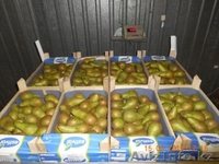 яблоки и др. фрукты из европы - Изображение #7, Объявление #1156952