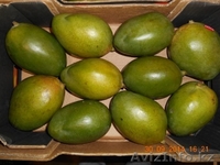 яблоки и др. фрукты из европы - Изображение #4, Объявление #1156952