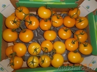 яблоки и др. фрукты из европы - Изображение #3, Объявление #1156952