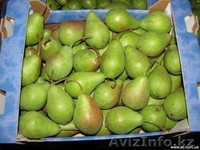 яблоки и др. фрукты из европы - Изображение #2, Объявление #1156952
