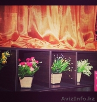 Ресторанный комплекс  "DOMA" - Изображение #1, Объявление #1166724