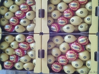 продаем лимон из Испании - Изображение #3, Объявление #1159610