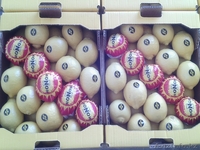 продаем лимон из Испании - Изображение #6, Объявление #1159610