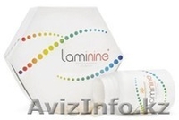 Ламинин и омега  от сердца и давления - Изображение #1, Объявление #1169386