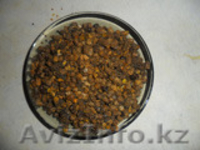 Сотовый мед , перга, пыльца по оптовым ценам  - Изображение #4, Объявление #1157842