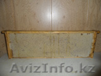 Сотовый мед , перга, пыльца по оптовым ценам  - Изображение #2, Объявление #1157842