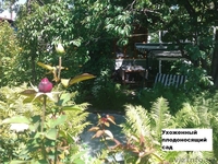 Срочно Продам 5-комнатный Дом (Хозяин), Реальному Покупателю - Реальный Торг! - Изображение #10, Объявление #1165062