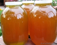  Алтайский Мёд. - Изображение #1, Объявление #1173081