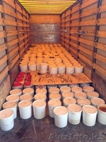  Алтайский Мёд. - Изображение #3, Объявление #1173081