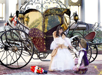 Аренда карет, лошадей, (пони)  - Изображение #2, Объявление #1175163