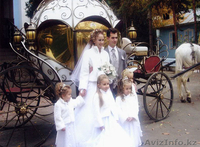 Аренда карет, лошадей, (пони)  - Изображение #3, Объявление #1175163