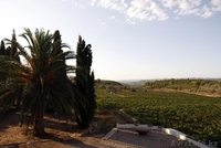 В продажу великолепный мини-отель в сельском стиле в Испании, Jérica, Castellón, - Изображение #3, Объявление #1181511