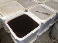  Алтайский Мёд. - Изображение #5, Объявление #1173081