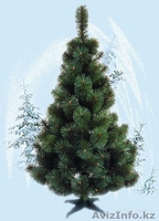 ёлки-новогодние едки - Изображение #2, Объявление #1185233