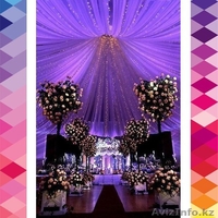 Cassiopeia алматы казахстан  - Изображение #4, Объявление #1196410