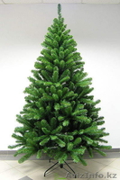 ёлки-новогодние едки - Изображение #1, Объявление #1185233