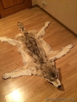 Шкура волка с головой - Изображение #4, Объявление #1197395