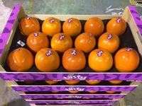 Продаем хурму из Испании - Изображение #3, Объявление #1190235