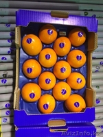 Продаем хурму из Испании - Изображение #5, Объявление #1190235