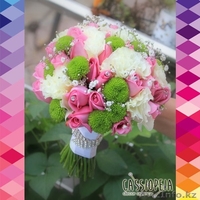 Cassiopeia алматы казахстан  - Изображение #6, Объявление #1196410