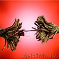 Стресс - стрессоустойчивость - Изображение #3, Объявление #1199240