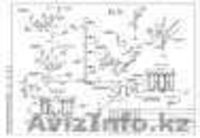 Вам нужен чертеж AutoCad! - Изображение #5, Объявление #1201947