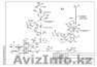 Вам нужен чертеж AutoCad! - Изображение #3, Объявление #1201947