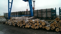 Продажа обрезной доски, круглого леса - производитель  - Изображение #2, Объявление #1210738