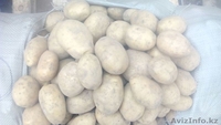 Картофель (оптом) - Изображение #3, Объявление #1208872